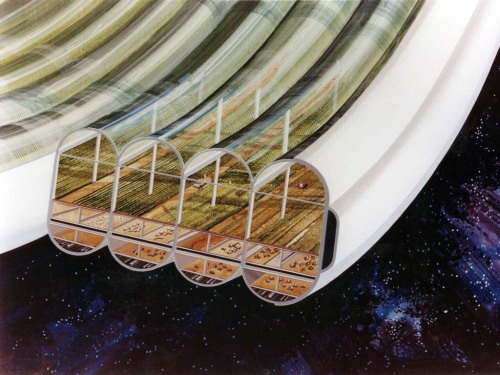 Vue des modules agricoles d'une Sphère Bernale (NASA Ames Research Center)